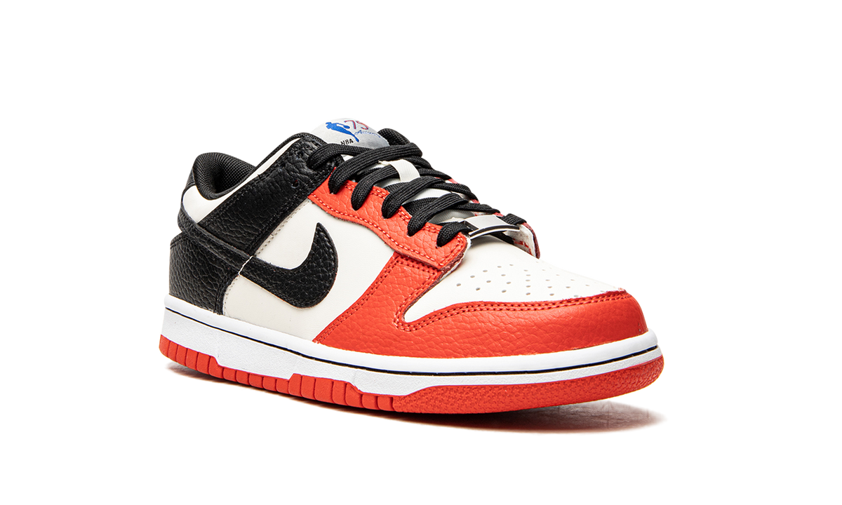 Dunk Low GS "NBA - Chicago Bulls" DO6288 100