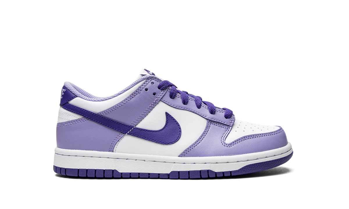 Dunk Low GS "Blueberry" DZ4456 100
