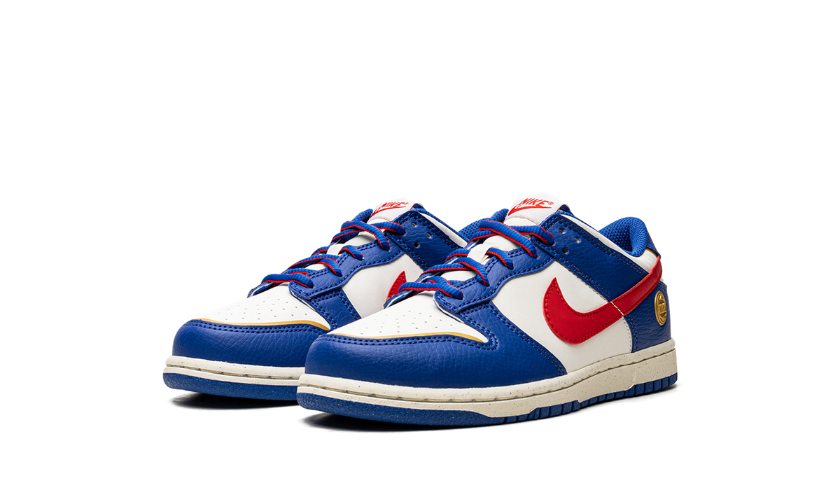 Dunk Low PS NN "Superhero" FD0673 400
